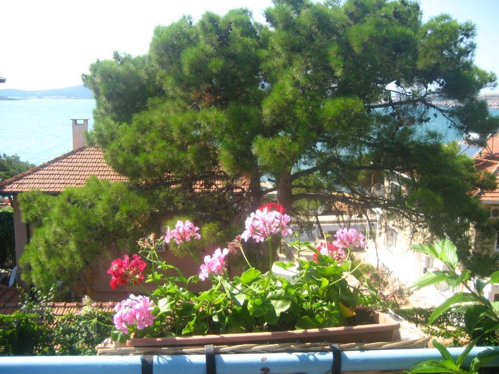 Mavi Pension Hotel Ayvalik Ngoại thất bức ảnh