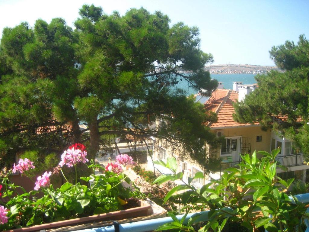 Mavi Pension Hotel Ayvalik Ngoại thất bức ảnh