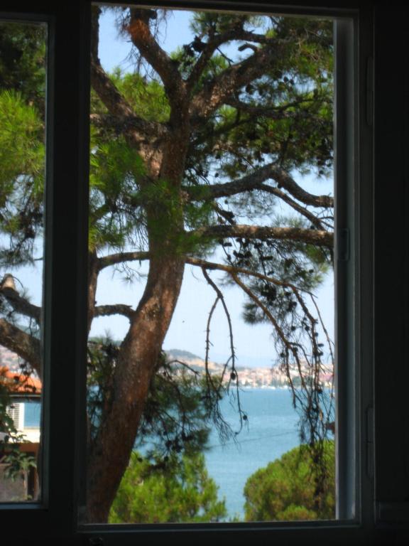 Mavi Pension Hotel Ayvalik Ngoại thất bức ảnh